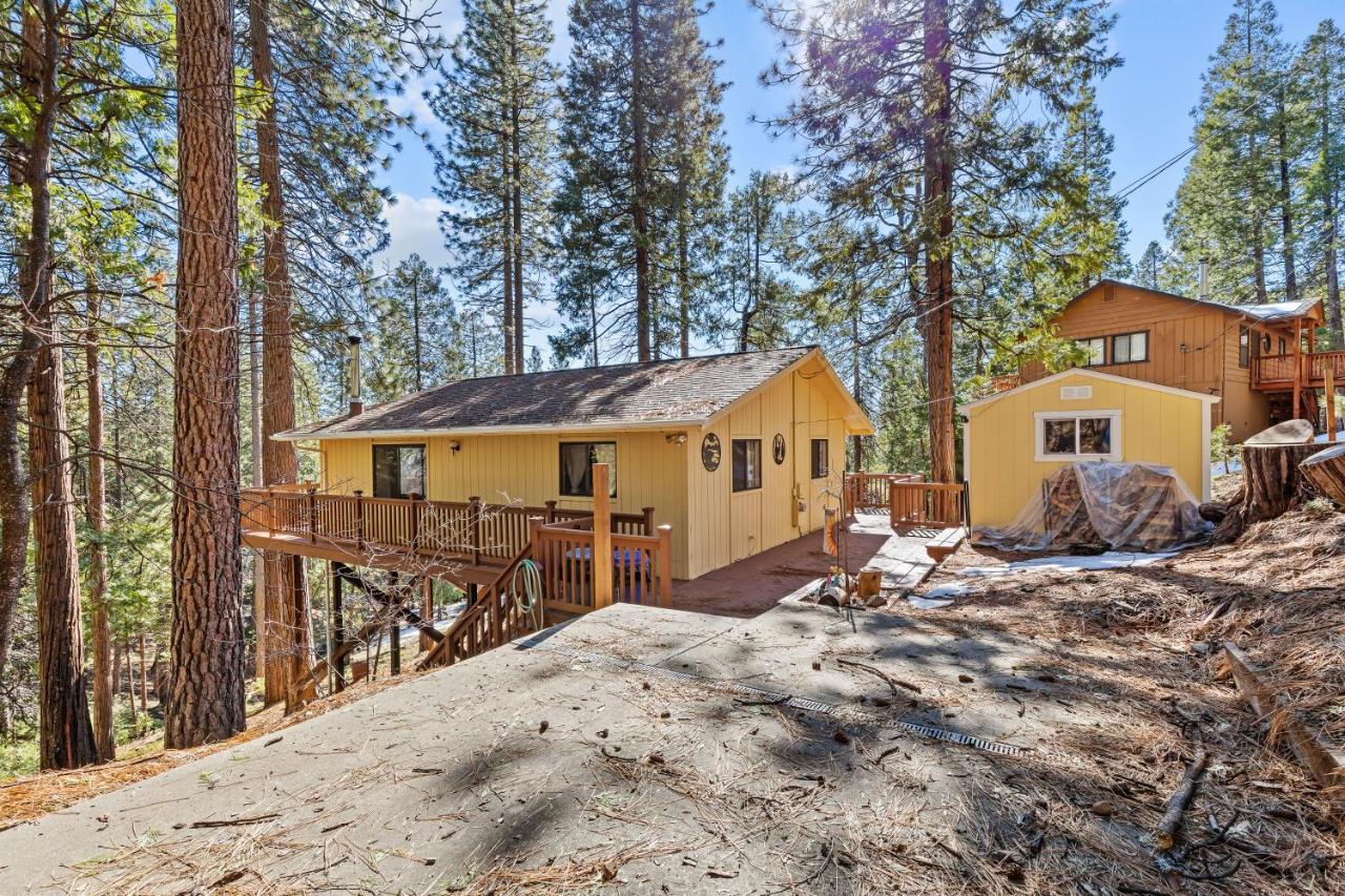 Big Trees, Little Cabin Arnold Dış mekan fotoğraf